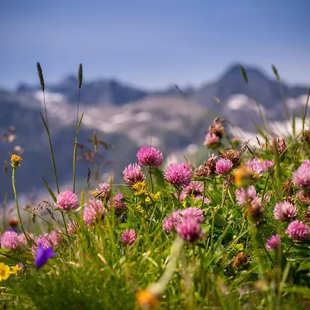 Bauernhof Waldangergut Dienten am Hochkönig